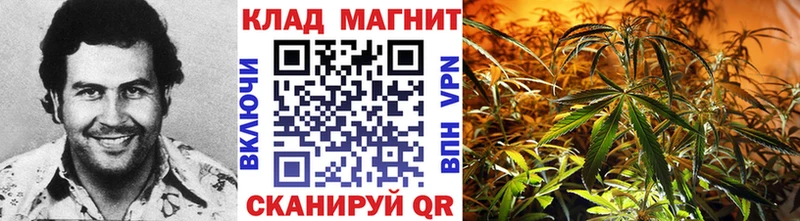 Где купить наркотики Псков ГАШИШ  Амфетамин  МЕФ 