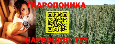 apvp Жуковский